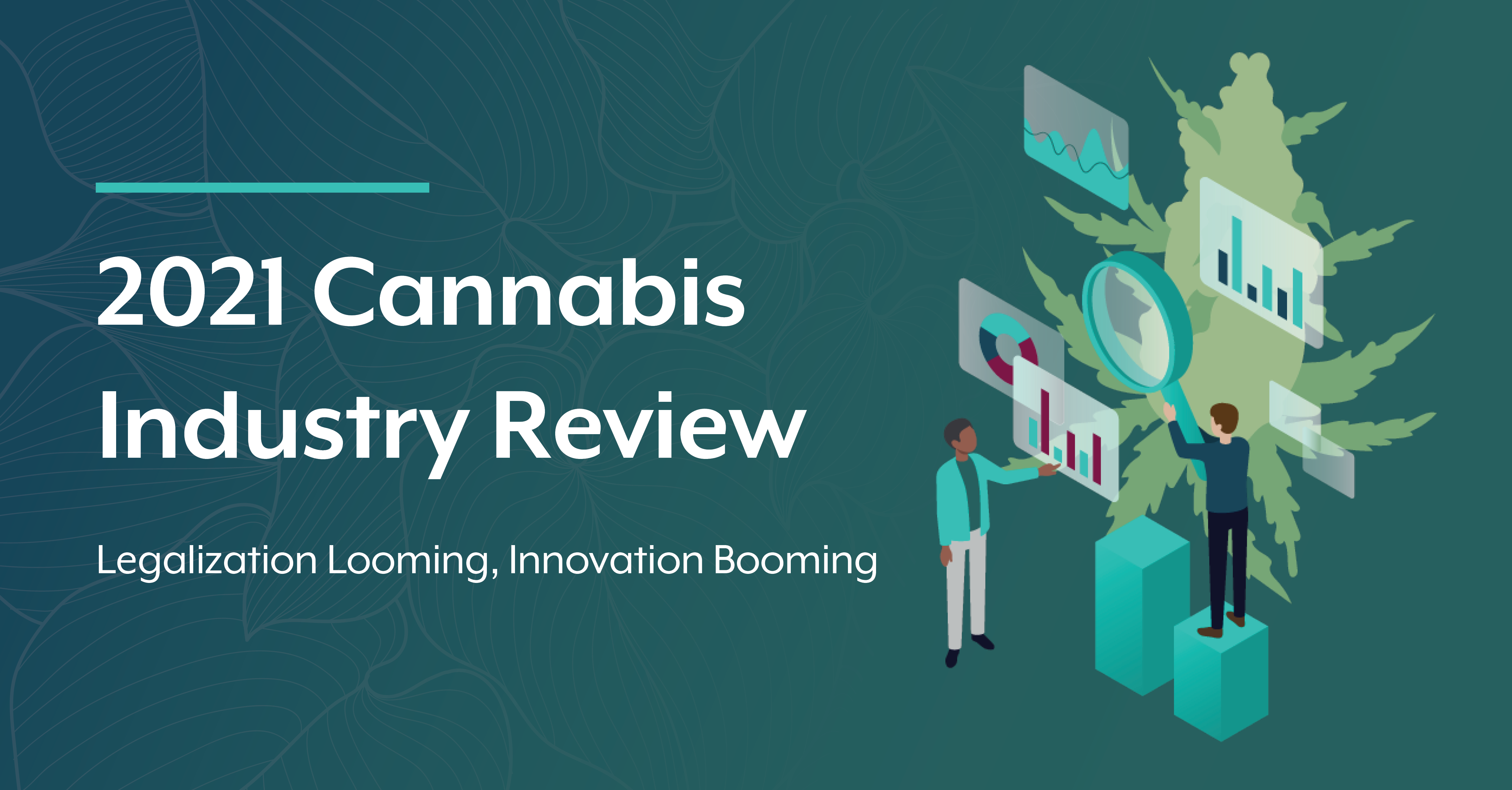 2021 Cannabis Industry Review